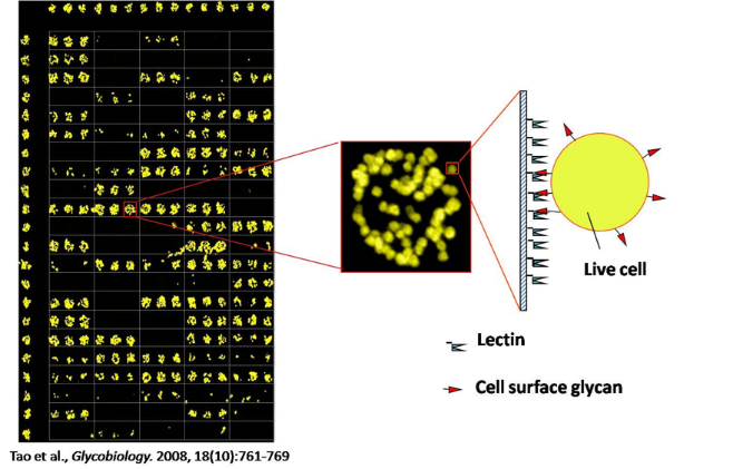 图片14.png