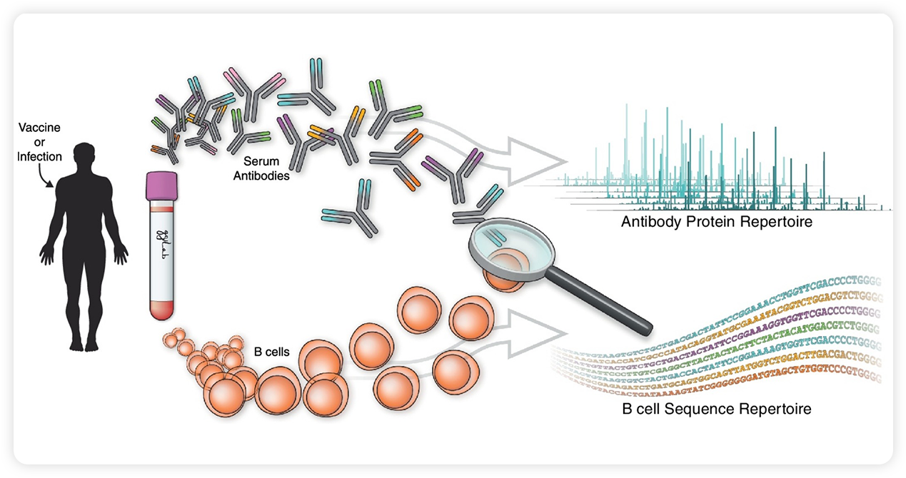PhIP-seq-1.png