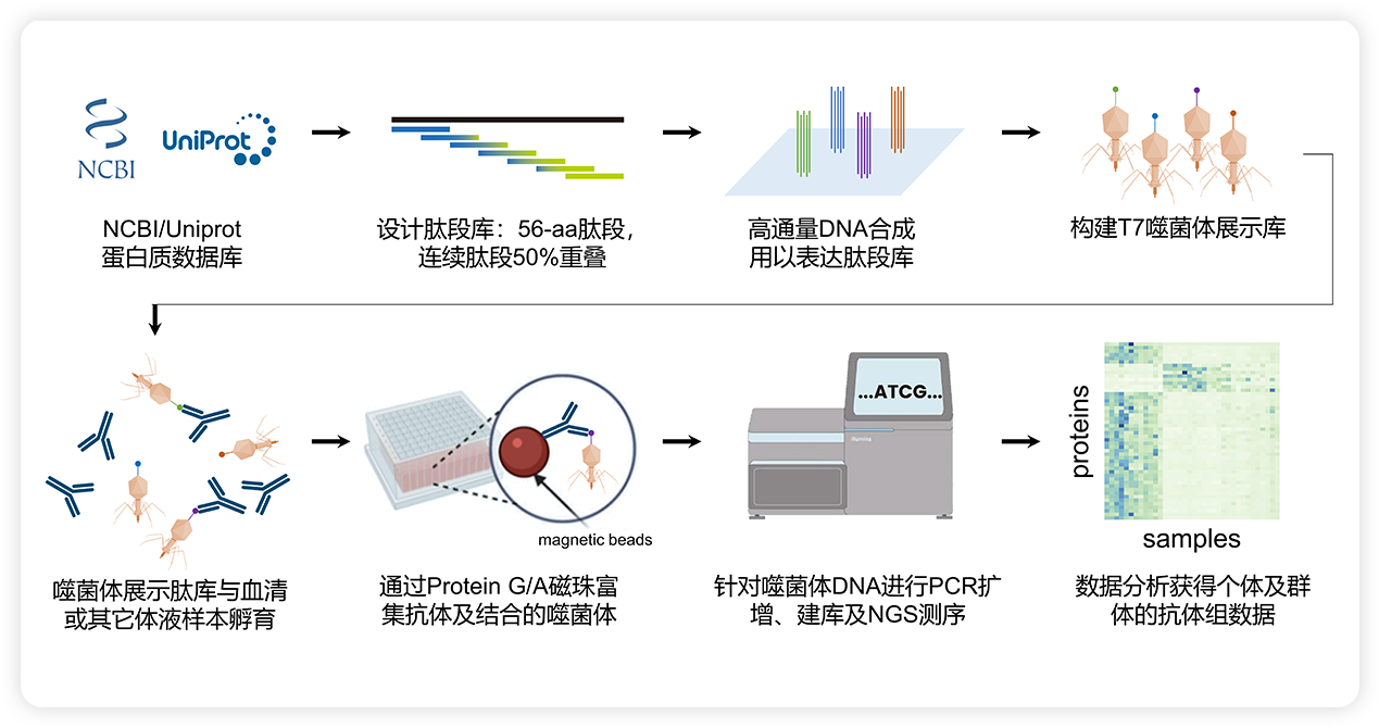 PhIP-seq-2.png